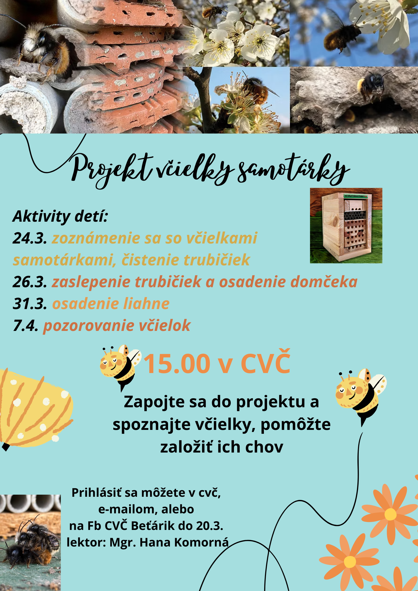 081 - Projekt včielky samotárky